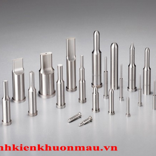 TY ĐỤC PIN